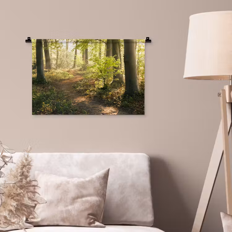 Wandkleed - Bos - Bomen - Pad - Zon - Planten - Bladeren - Natuur — 2