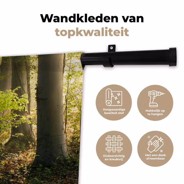 Wandkleed - Bos - Bomen - Pad - Zon - Planten - Bladeren - Natuur — 3