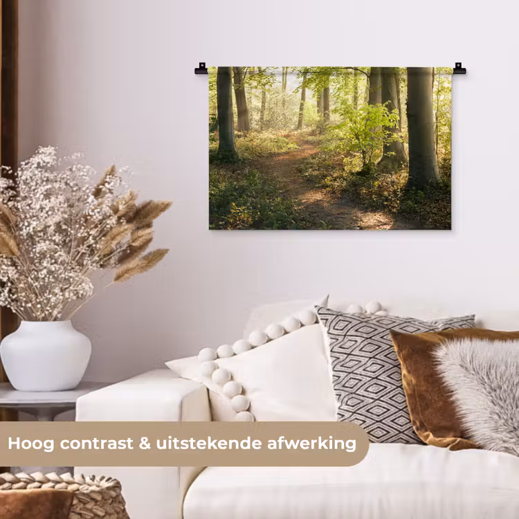 Wandkleed - Bos - Bomen - Pad - Zon - Planten - Bladeren - Natuur — 4