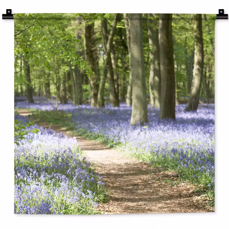 Wandkleed - Bos - Pad - Bloemen - Paars - Groen - Natuur — 1