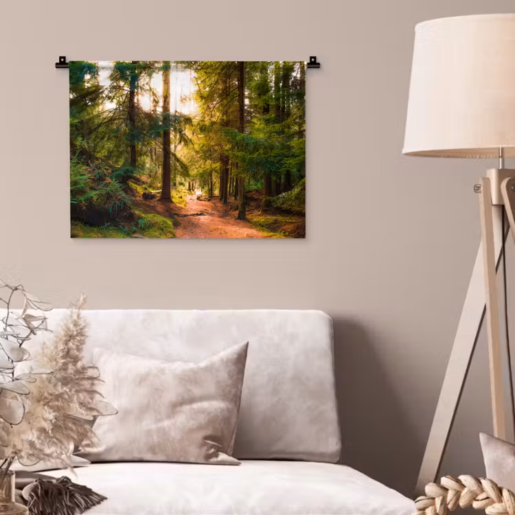 Wandkleed - Bos - Pad - Bomen - Groen - Zon - Natuur — 2