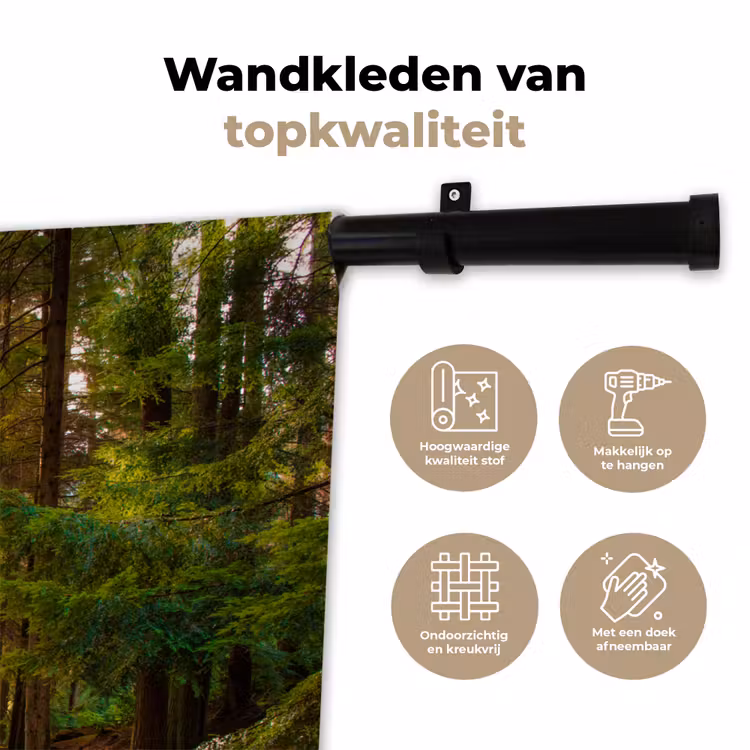 Wandkleed - Bos - Pad - Bomen - Groen - Zon - Natuur — 3