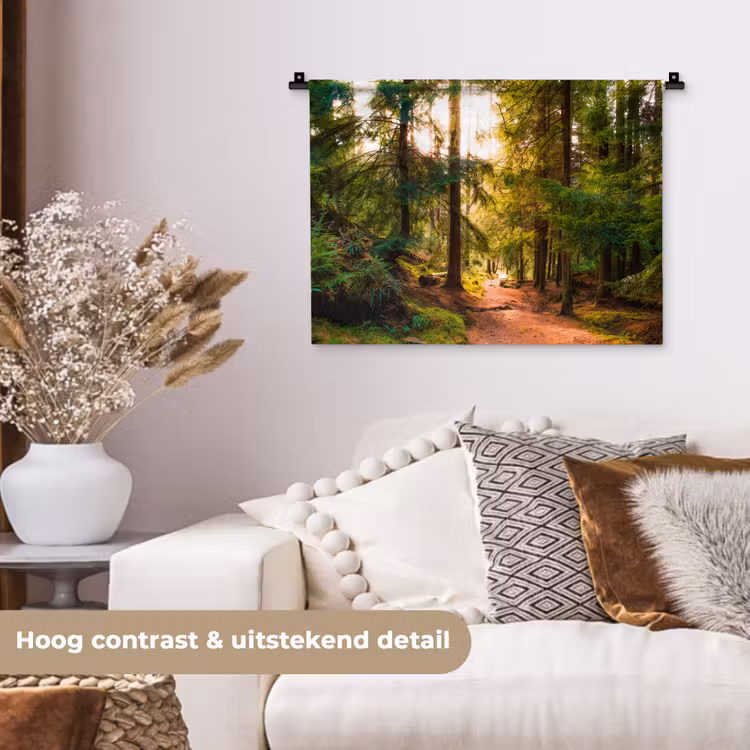 Wandkleed - Bos - Pad - Bomen - Groen - Zon - Natuur — 5