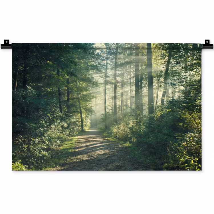 Wandkleed - Bos - Pad - Zon - Bomen - Groen - Natuur — 1