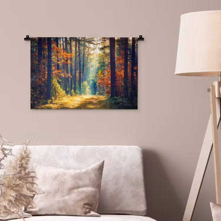 Wandkleed - Bos - Zon - Natuur - Herfst — 2