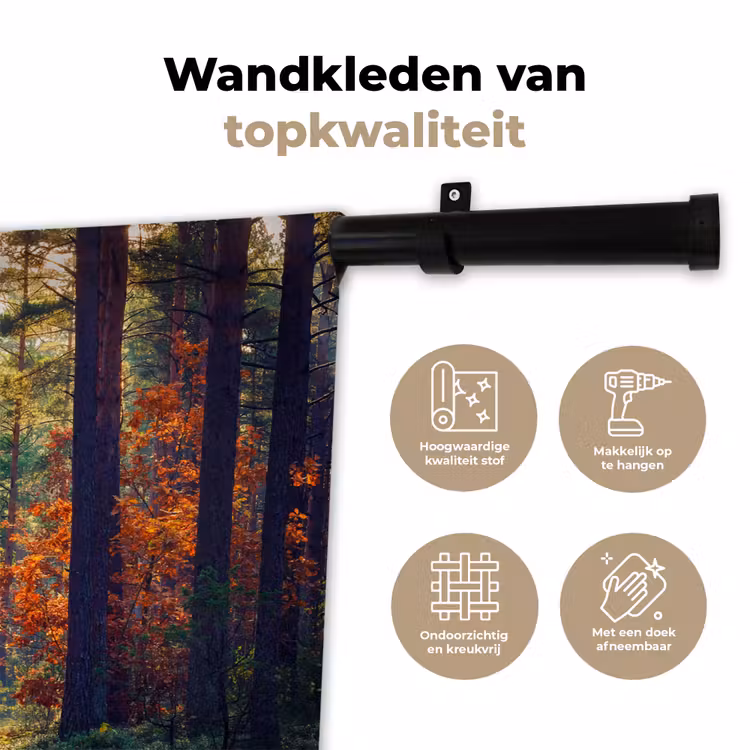 Wandkleed - Bos - Zon - Natuur - Herfst — 3