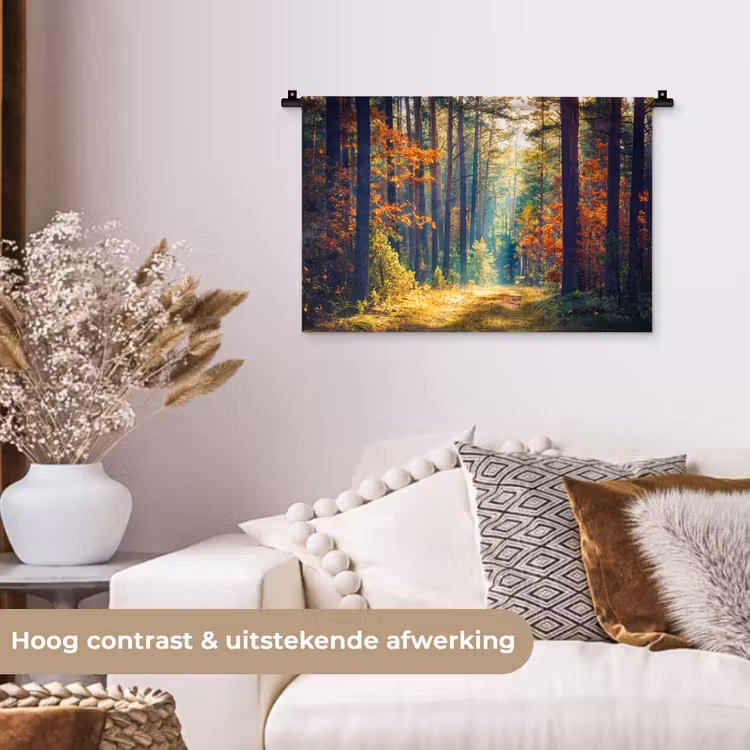 Wandkleed - Bos - Zon - Natuur - Herfst — 4