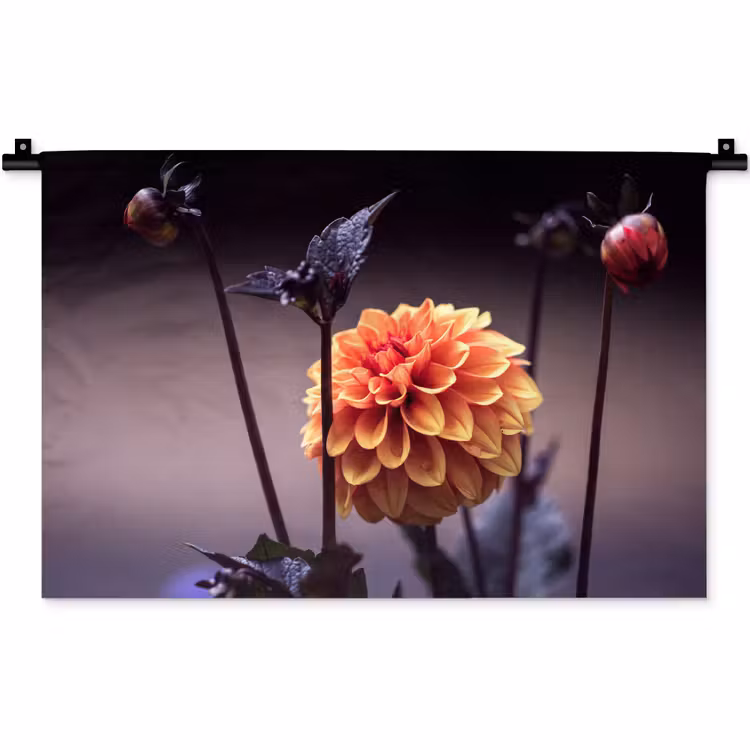 Wandkleed - Bloemen - Chrysant - Macro - Planten — 1