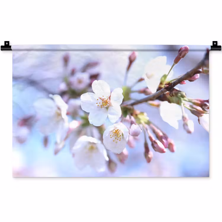 Wandkleed - Bloemen - Sakura - Tak - Bloesem takken — 1