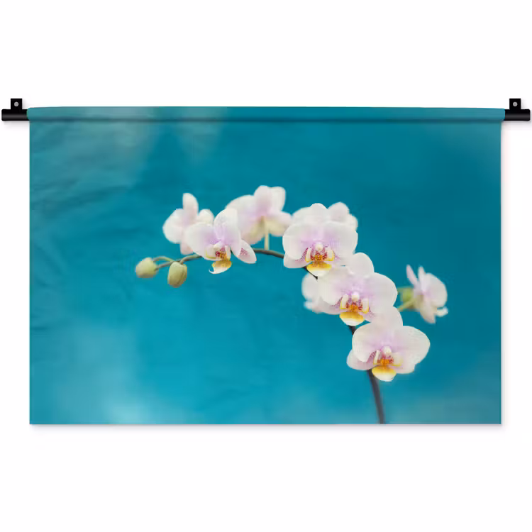 Wandkleed - Orchidee - Bloemen - Plant - Wit - Paars — 1