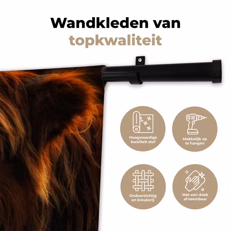 Wandkleed - Schotse Hooglander - Koe - Portret - Dieren — 3