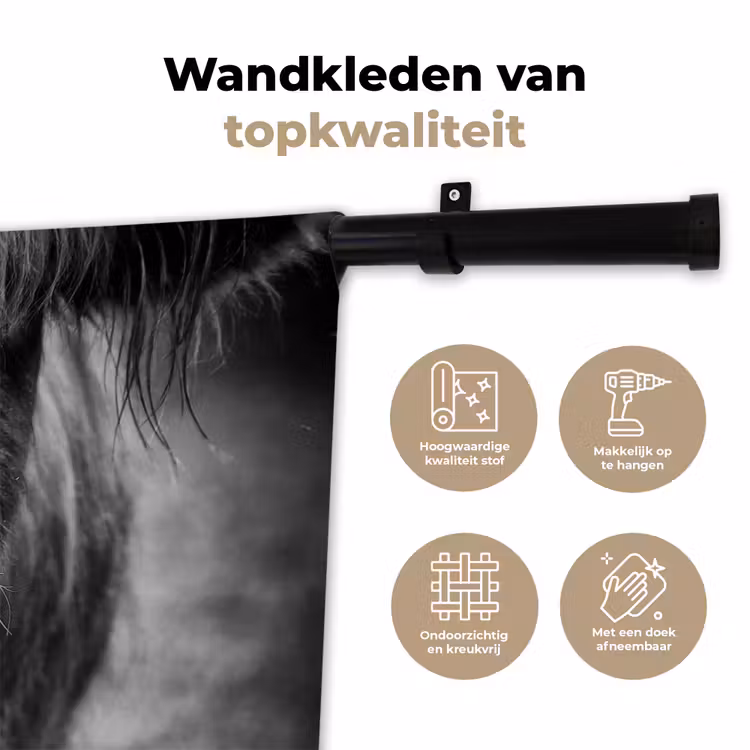 Wandkleed - Schotse hooglander - Koe - Zwart - Wit - Dieren — 3