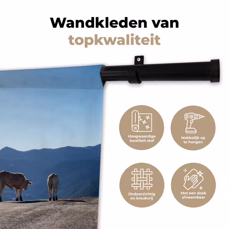 Wandkleed - Schotse hooglander - Licht - Berg - Natuur — 3