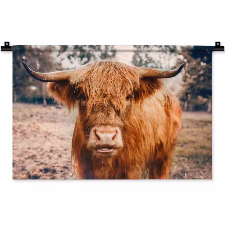 Wandkleed - Koe- Schotse hooglander - Hoorns - Bruin - Landschap — 1