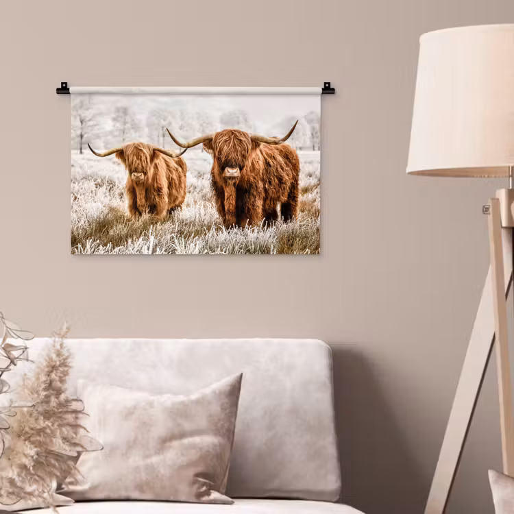 Wandkleed - Schotse hooglander - Koe - Natuur - Winter — 2