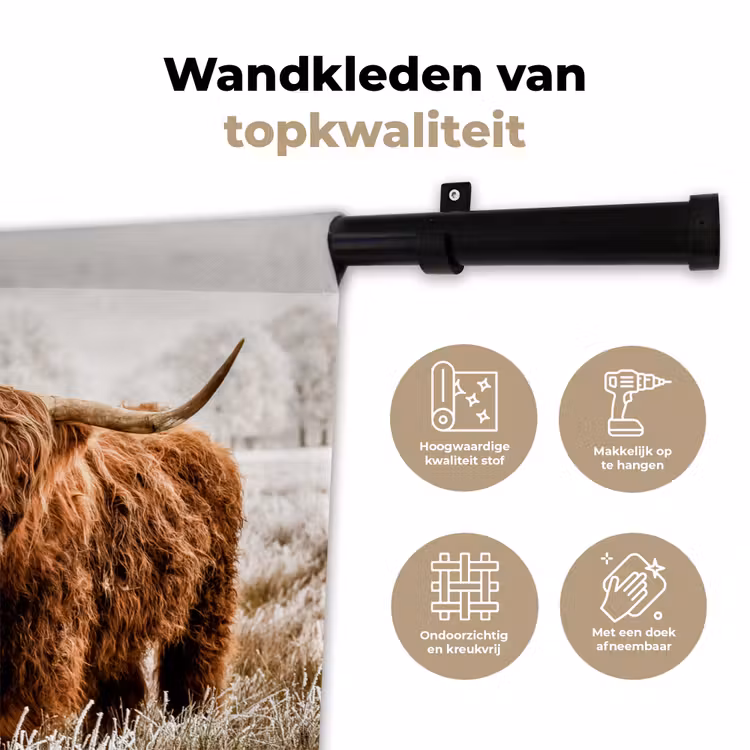 Wandkleed - Schotse hooglander - Koe - Natuur - Winter — 3