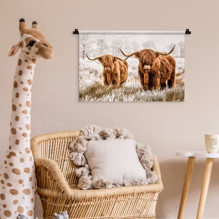 Wandkleed - Schotse hooglander - Koe - Natuur - Winter — 5