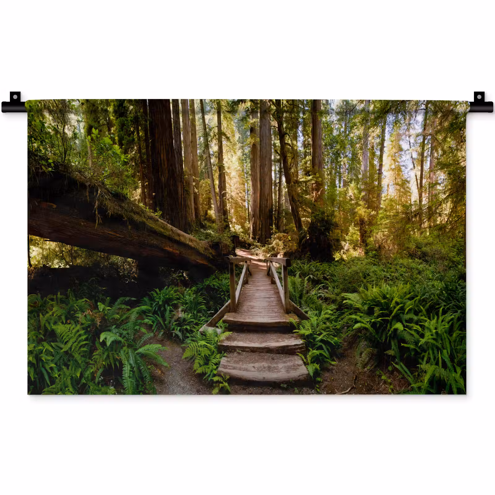 Wandkleed - Jungle - Natuur - Trap - Bomen — 1