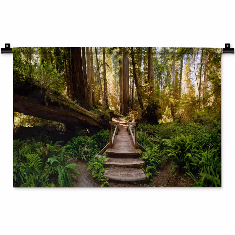 Wandkleed - Jungle - Natuur - Trap - Bomen — 1