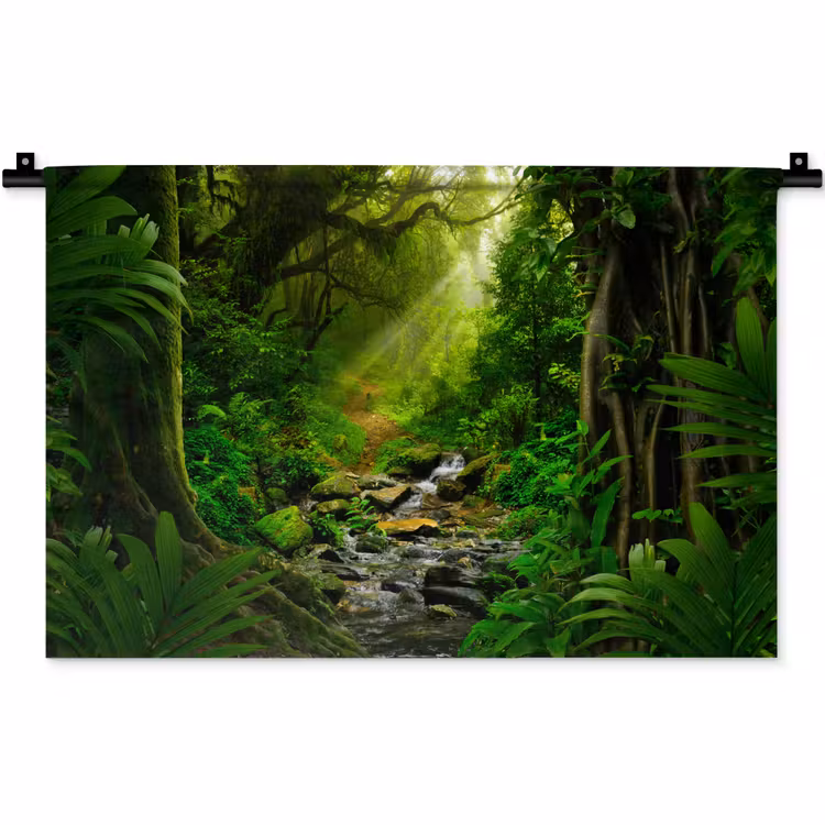 Wandkleed - Jungle - Water - Bladeren - Zon - Natuur — 1
