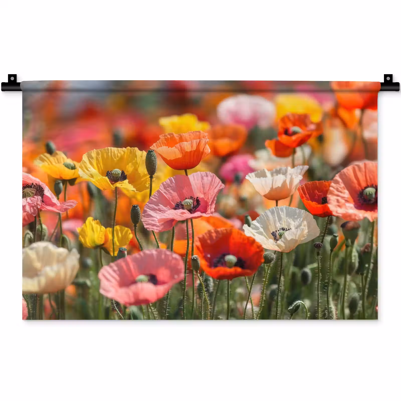Wandkleed - Bloemenveld - Klaprozen - Kleurrijk — 1