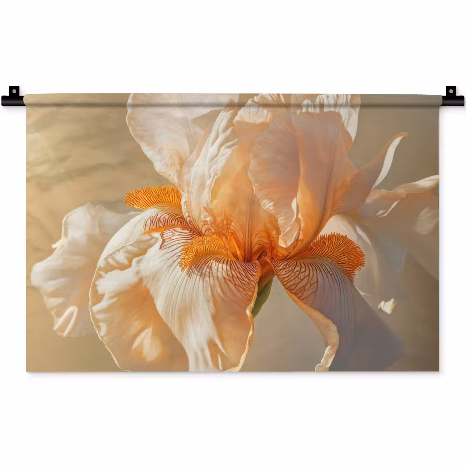 Wandkleed - Close up - Oranje - Iris — 1