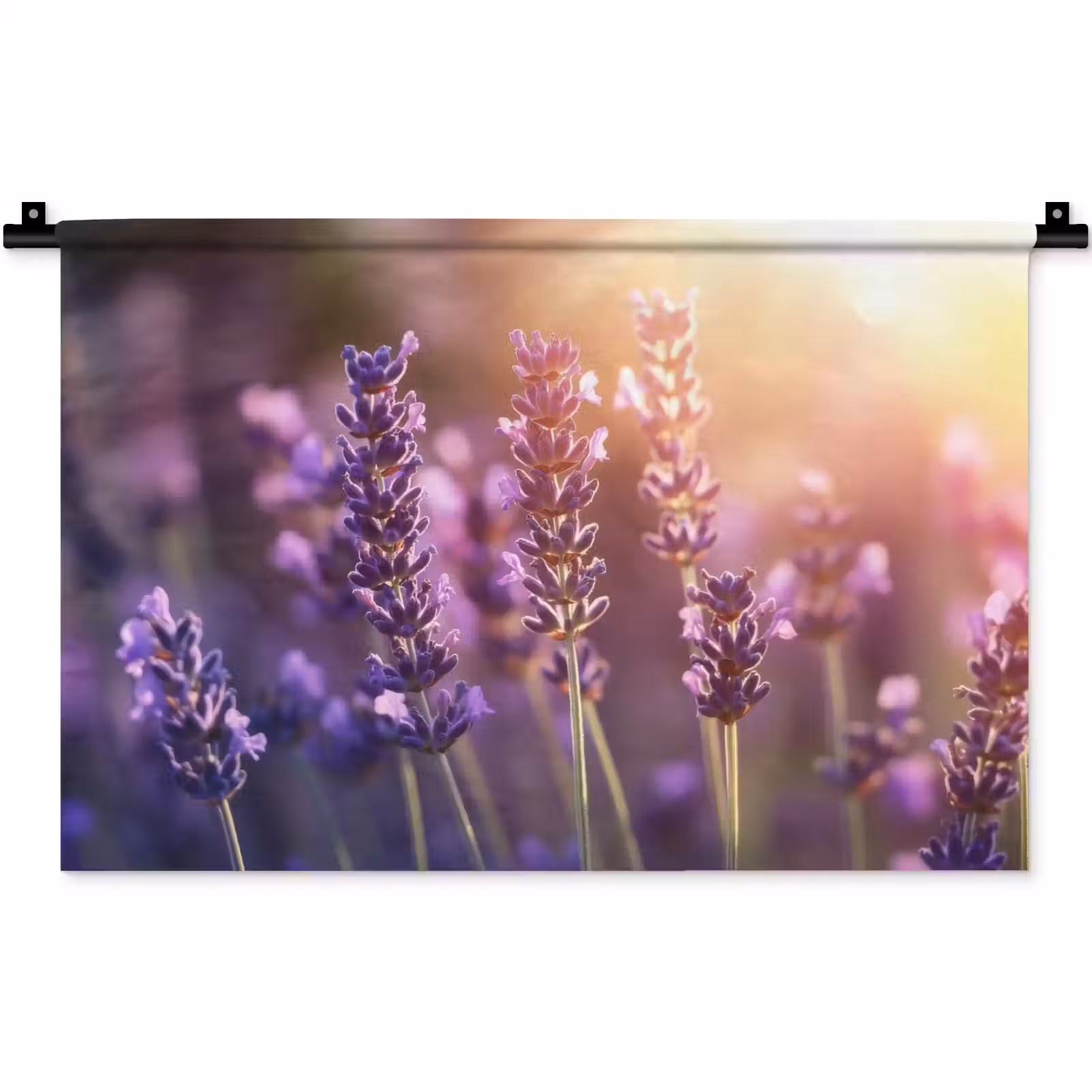 Wandkleed - Lavendelbloemen - Paars - Zonlicht — 1