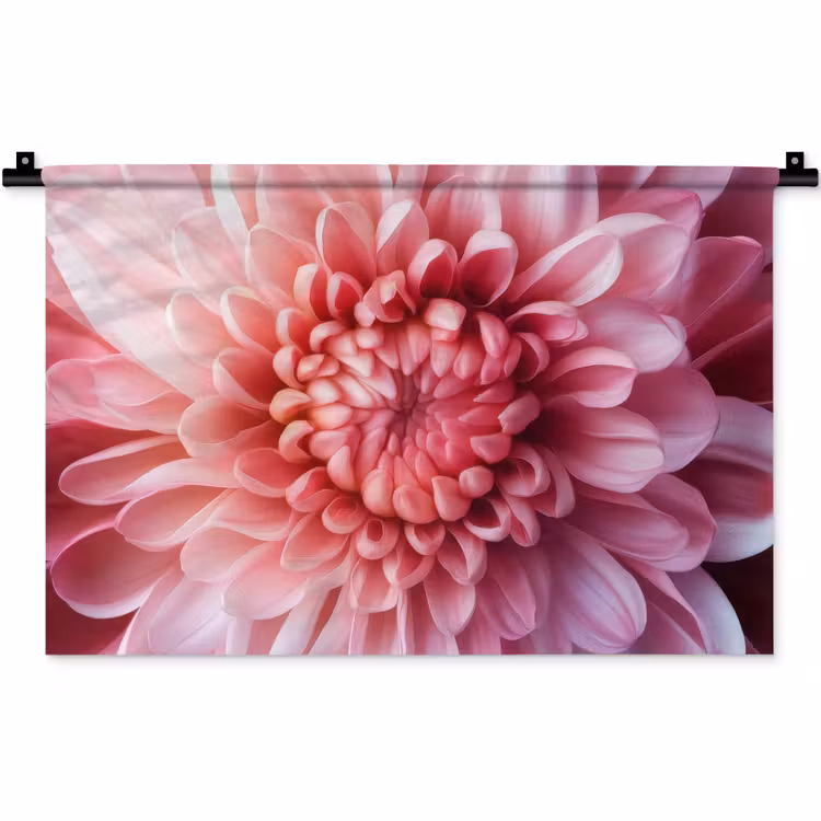 Wandkleed - Dahlia - Bloem - Close up - Roze — 1