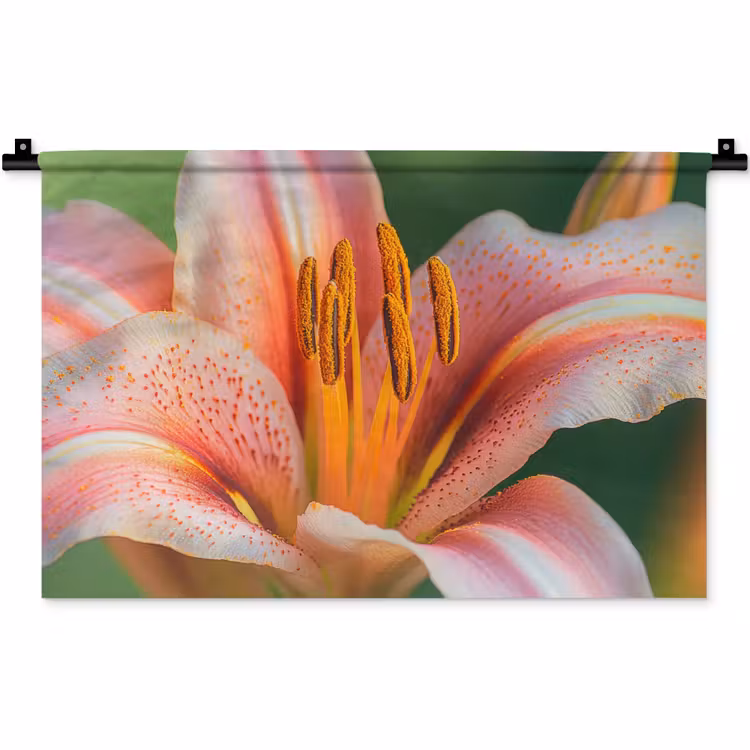 Wandkleed - Lelie - Close up - Lichtroze — 1