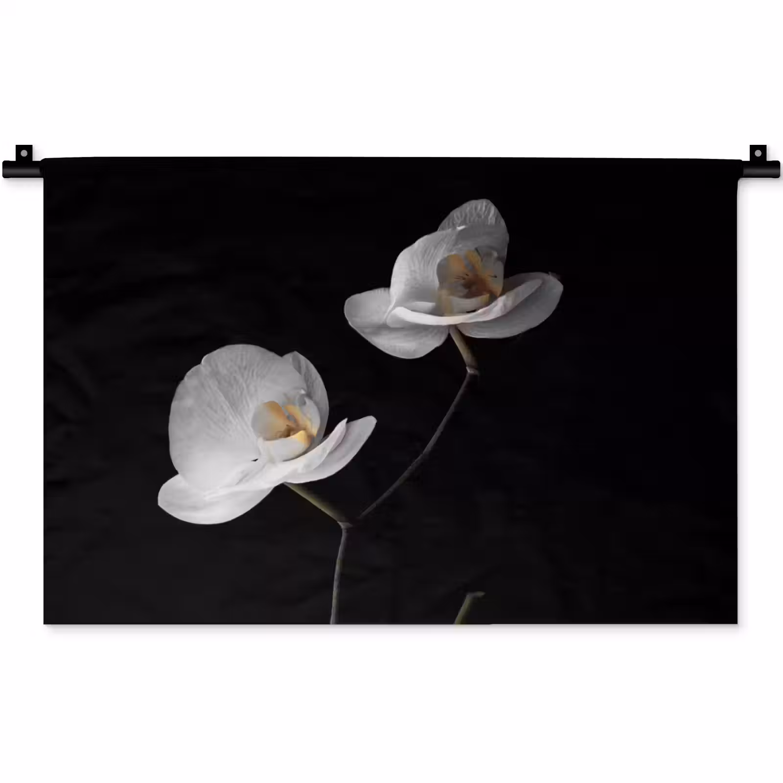 Wandkleed - Orchidee - Bloemen - Zwart - Wit - Stilleven — 1