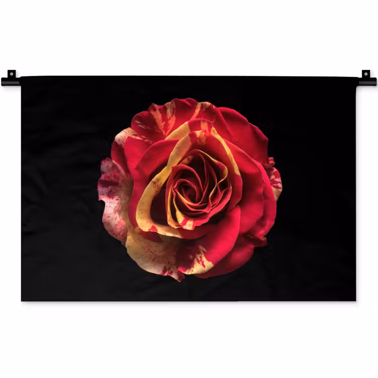 Wandkleed - Bloem - Roos - Rood - Zwart — 1