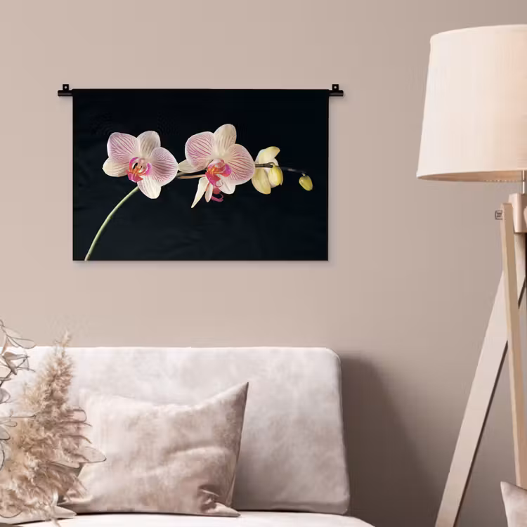 Wandkleed - Orchidee - Bloemen - Zwart - Roze - Knoppen — 2