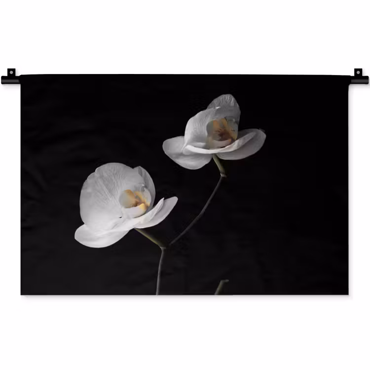 Wandkleed - Orchidee - Bloemen - Zwart - Wit - Stilleven — 1
