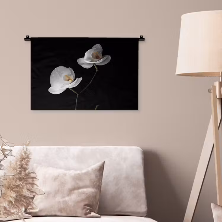 Wandkleed - Orchidee - Bloemen - Zwart - Wit - Stilleven — 2
