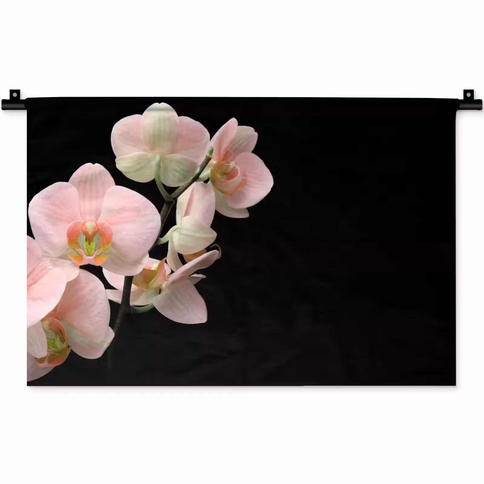 Wandkleed - Orchidee - Bloemen - Roze - Stilleven - Flora — 1