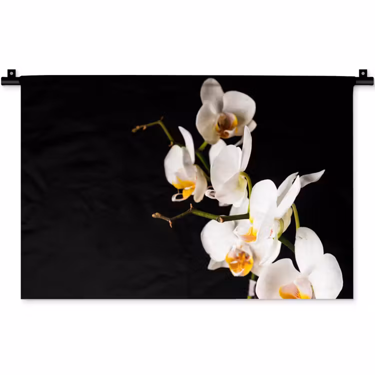 Wandkleed - Orchidee - Bloemen - Planten - Botanisch — 1