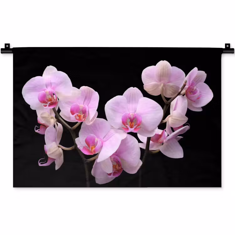 Wandkleed - Orchidee - Bloemen - Roze - Flora — 1