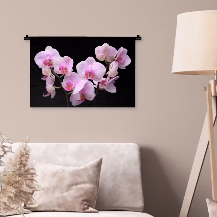 Wandkleed - Orchidee - Bloemen - Roze - Flora — 2