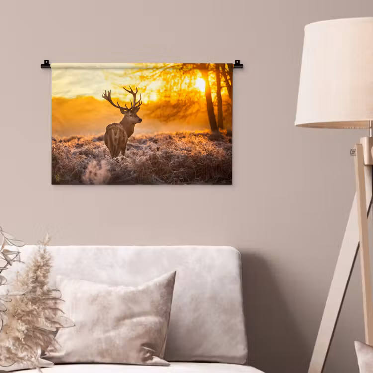 Wandkleed - Hert - Dieren - Zonsondergang - Winter - Heide - Natuur — 2