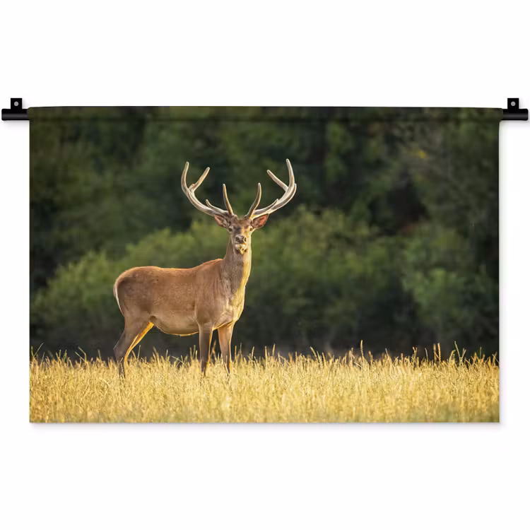 Wandkleed - Hert - Gewei - Gras - Natuur - Dieren - Groen — 1