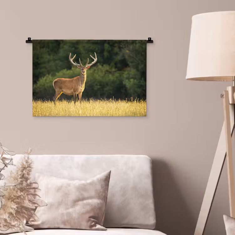 Wandkleed - Hert - Gewei - Gras - Natuur - Dieren - Groen — 2