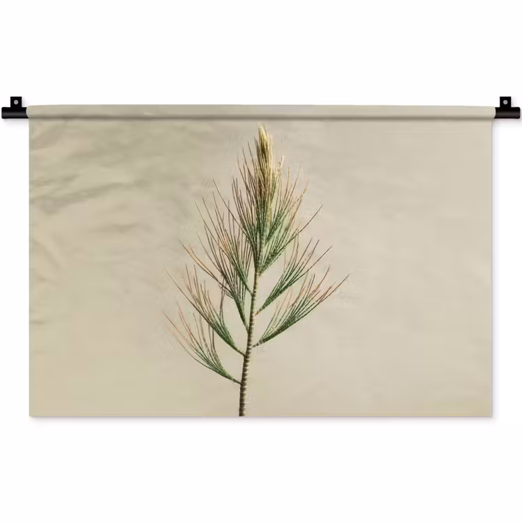 Wandkleed - Dennentak - Naaldvormige bladeren - Lichtgroen — 1