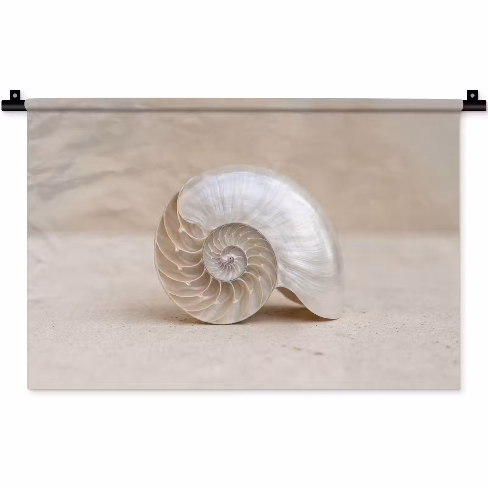 Wandkleed - Schelp - Spiraal - Beige — 1