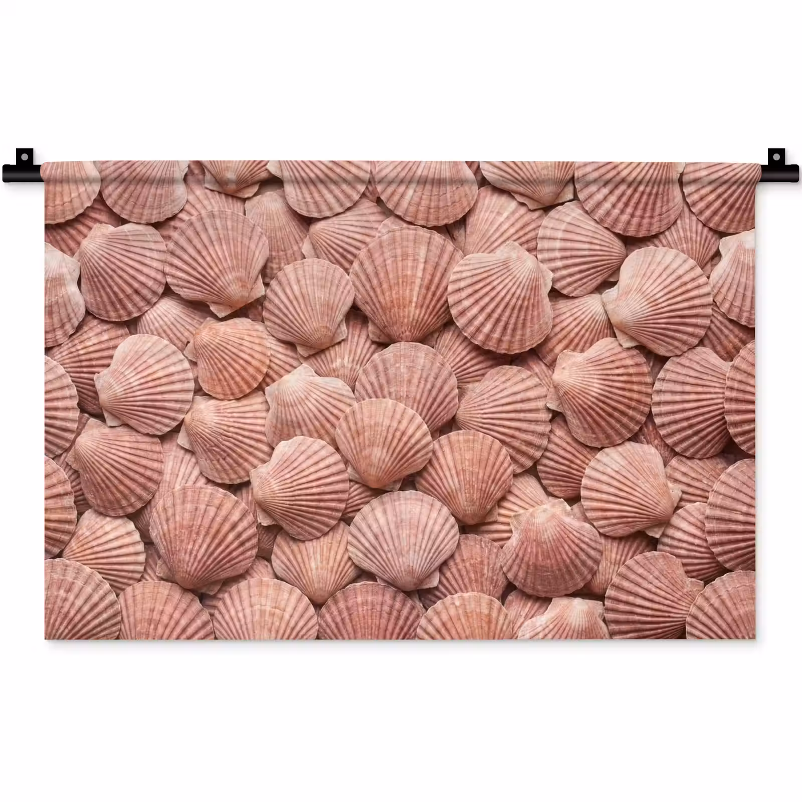 Wandkleed - Schelpen - Patroon - Roze — 1