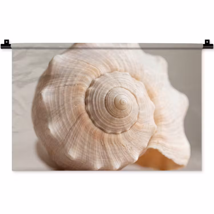 Wandkleed - Schelp - Detail - Beige — 1