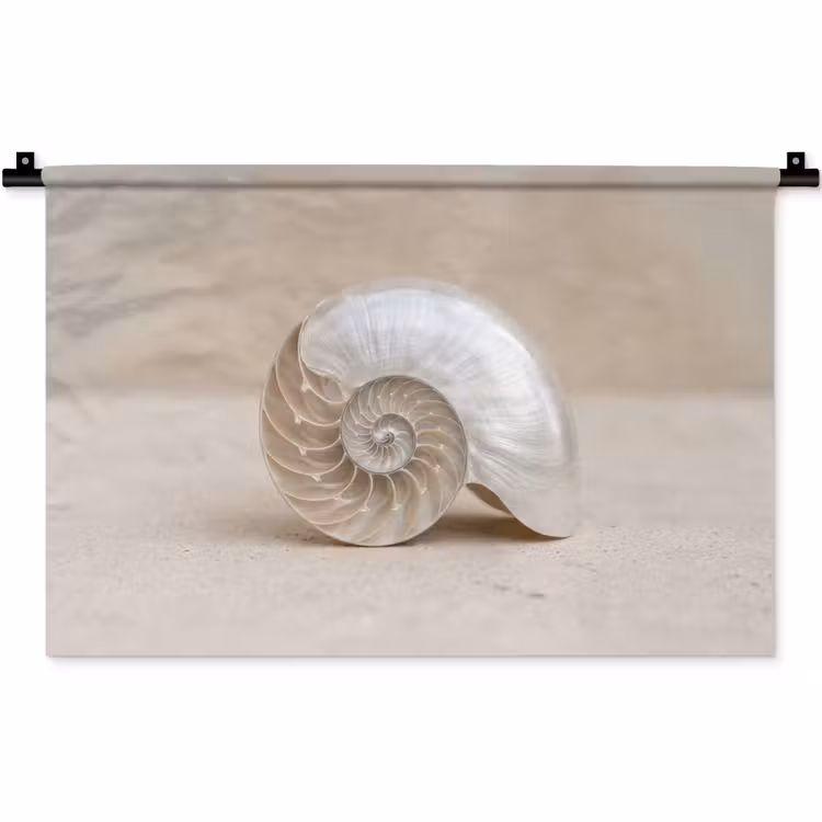 Wandkleed - Schelp - Spiraal - Beige — 1
