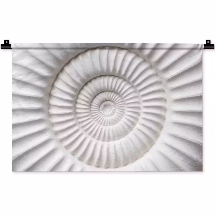 Wandkleed - Schelp - Spiraal - Wit — 1