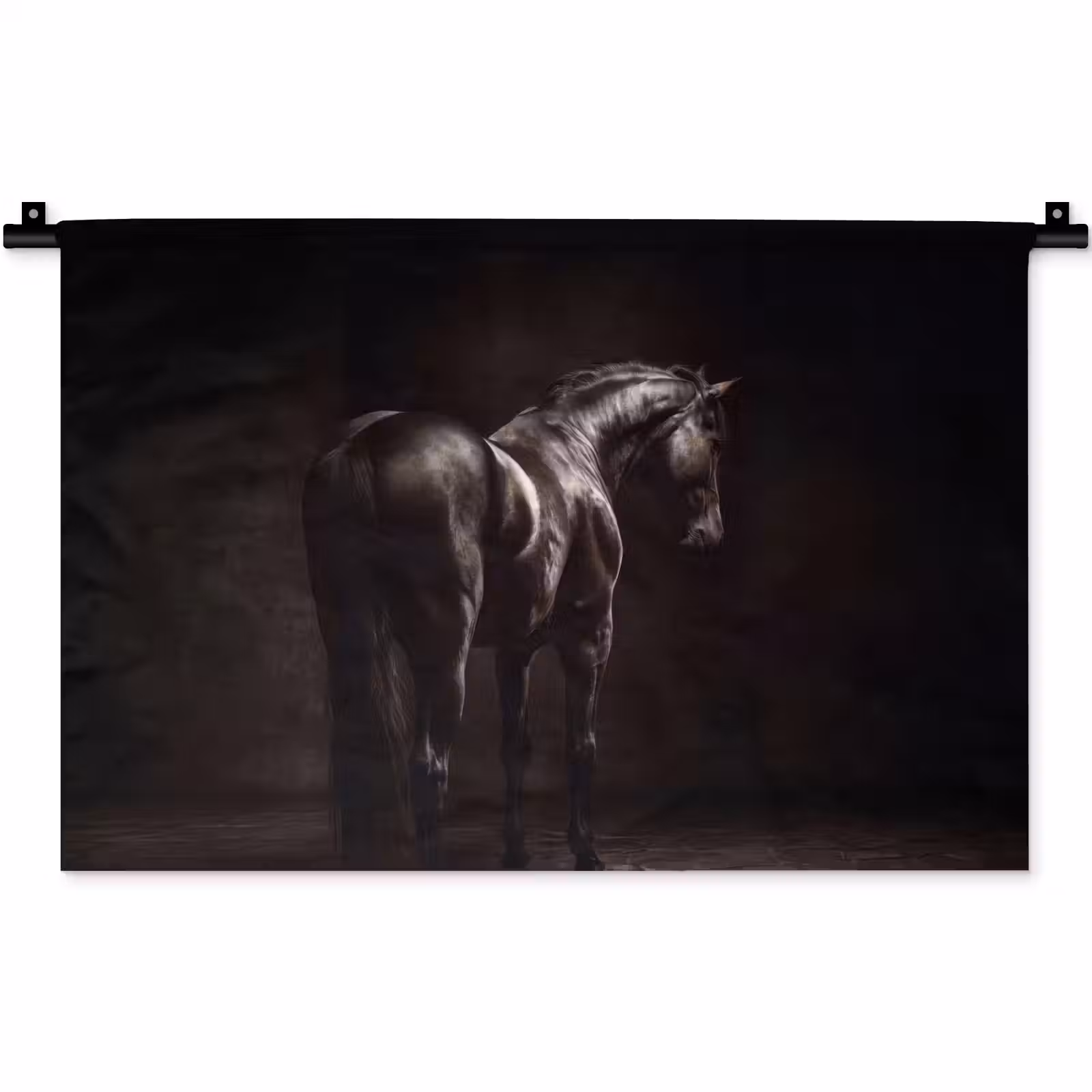 Wandkleed - Krachtig - Paard - Donker — 1
