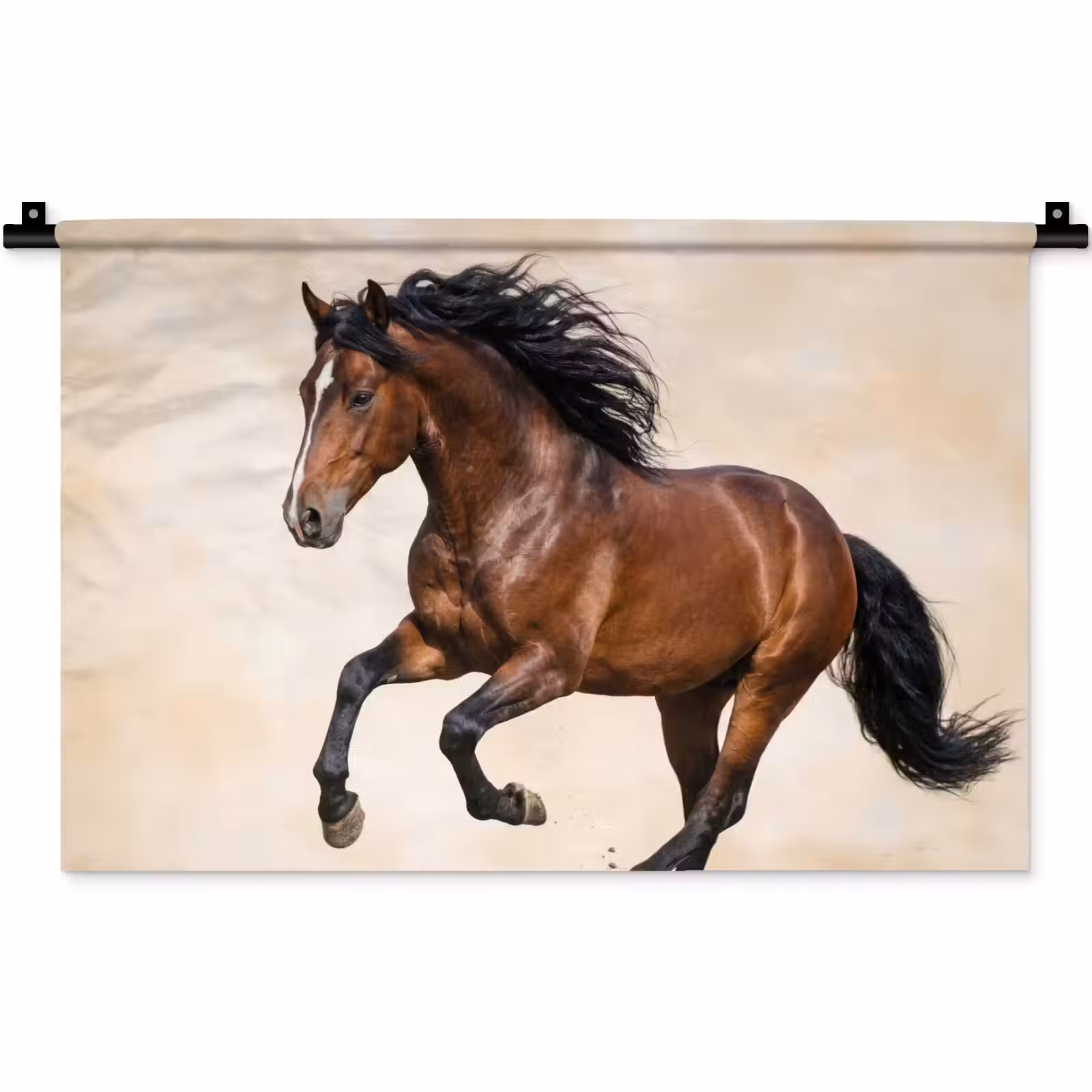 Wandkleed - Paard - Galop - Energie — 1
