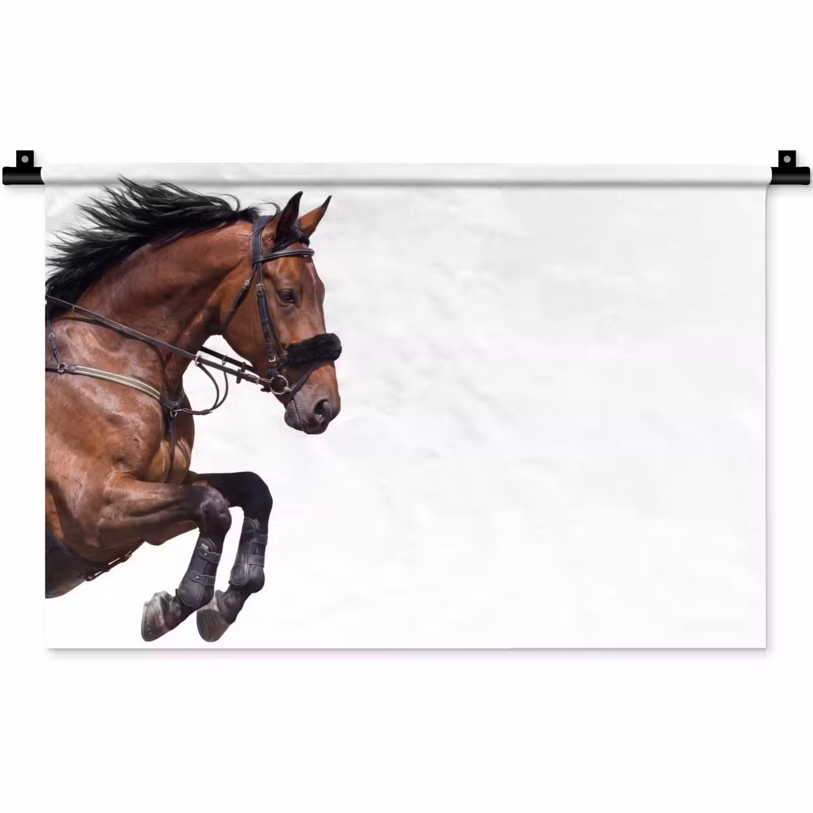 Wandkleed - Paard - Springen - Modern — 1